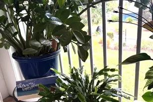 1854 SW Palm City Rd, Stuart, FL 34994 - Photo 19