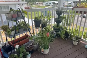 4241 Royal Manor Blvd, Boynton Beach, FL 33436 - Photo 27