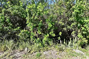 0 River Palm Dr, Fort Pierce, FL 34946 - Photo 1