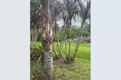 1509 SE Belcrest Street, Port Saint Lucie, FL 34952 - Photo 19