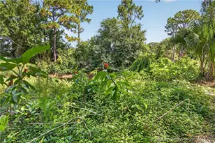 11145 SW Meadowlark Cir, Stuart, FL 34997 - Photo 69