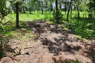 3300 SW Dunklin Ave, Okeechobee, FL 34974 - Photo 9