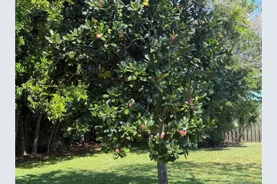 2457 NE Wilda Street NE, Jensen Beach, FL 34957 - Photo 3