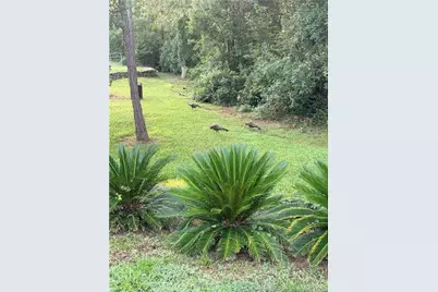 3139 Cross Branch Road, Deland, FL 32724 - Photo 5