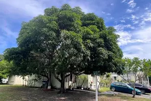 2508 NW 24th St, Boynton Beach, FL 33436 - Photo 23