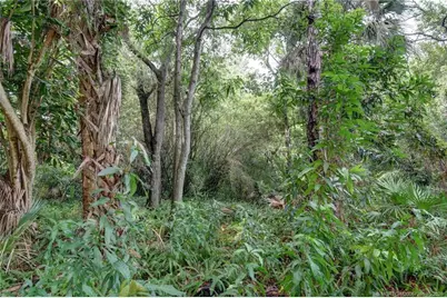 0 NW Egret Court, Stuart, FL 34994 - Photo 15