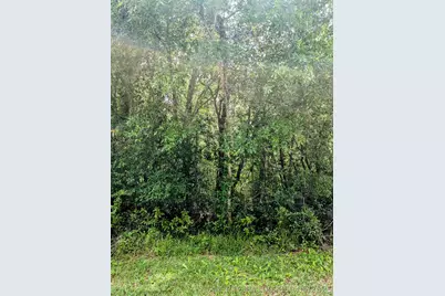 8970 N Joann Drive, Citrus Springs, FL 34434 - Photo 3