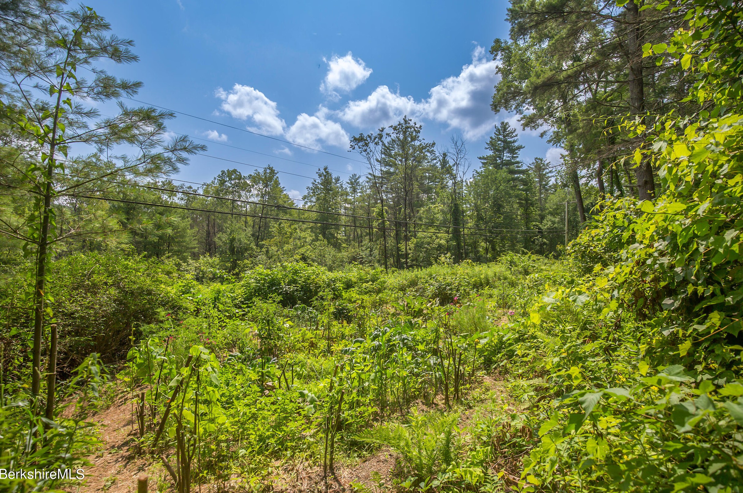 165 Monument Valley Rd, Alford MA 01230-1458 exterior