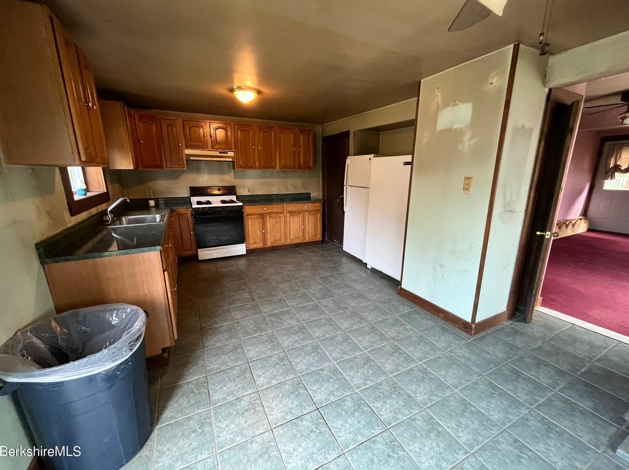 21 Ray St, Clarksburg MA 01247 exterior