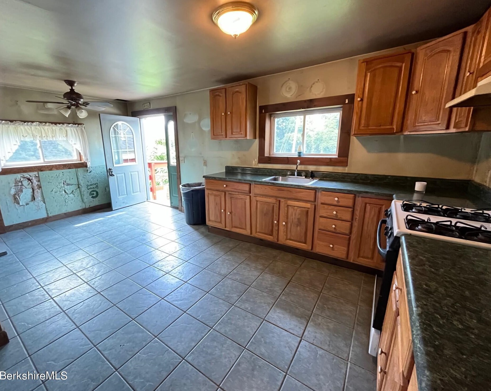 21 Ray St, Clarksburg MA 01247 exterior