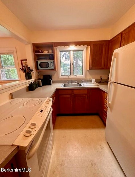 28 Holbrook St, Clarksburg MA 01247-4210 exterior