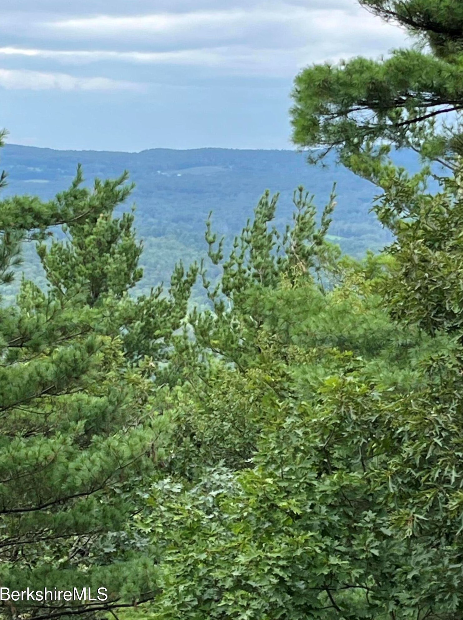 33 Birch Hl Rd, Alford MA 01266-9301 exterior