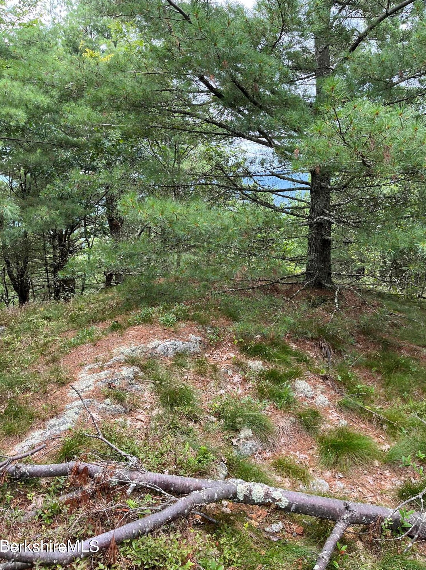 33 Birch Hl Rd, Alford MA 01266-9301 exterior