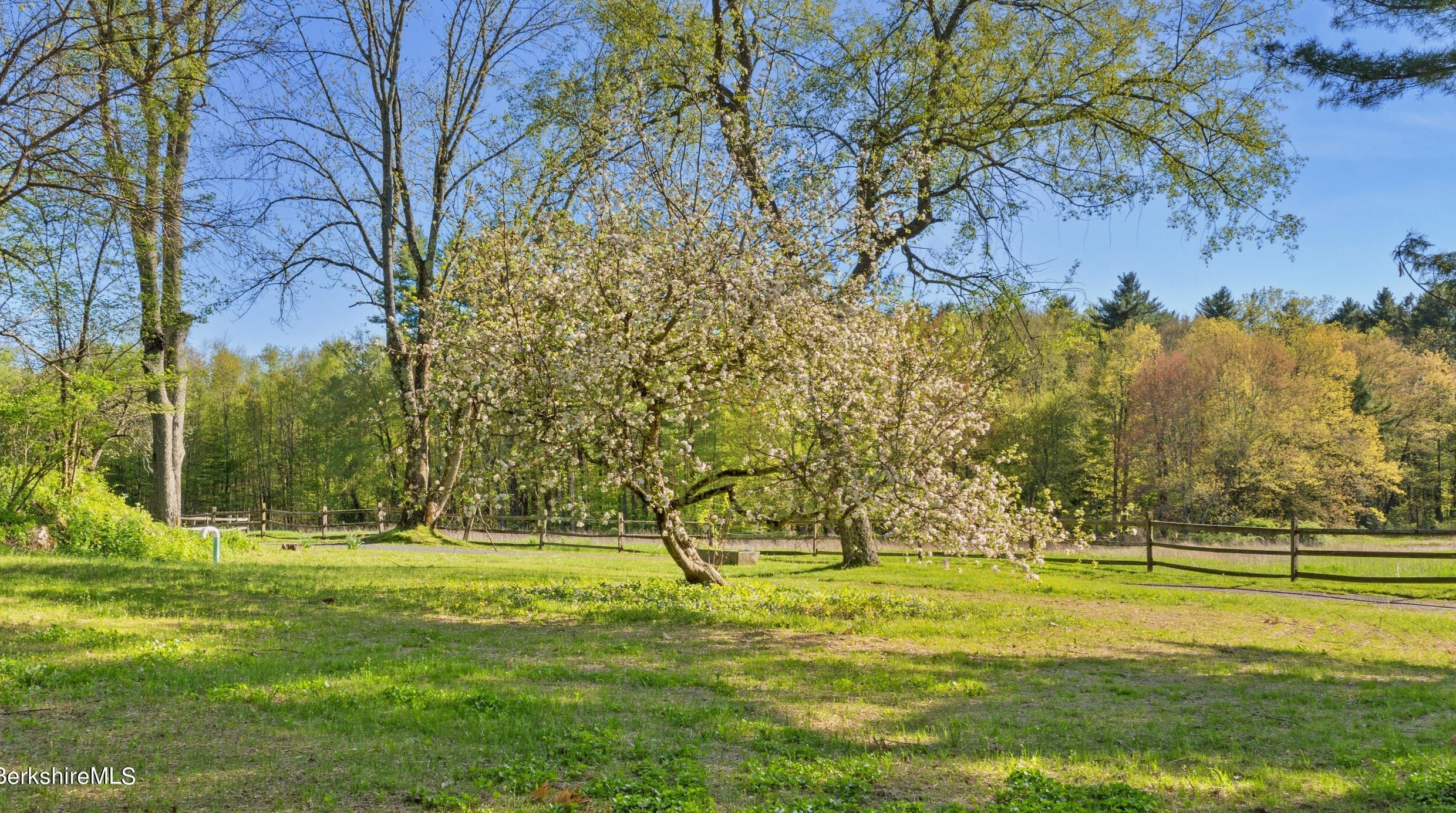 49 Bow Wow Rd, Sheffield MA 01257-9609 exterior