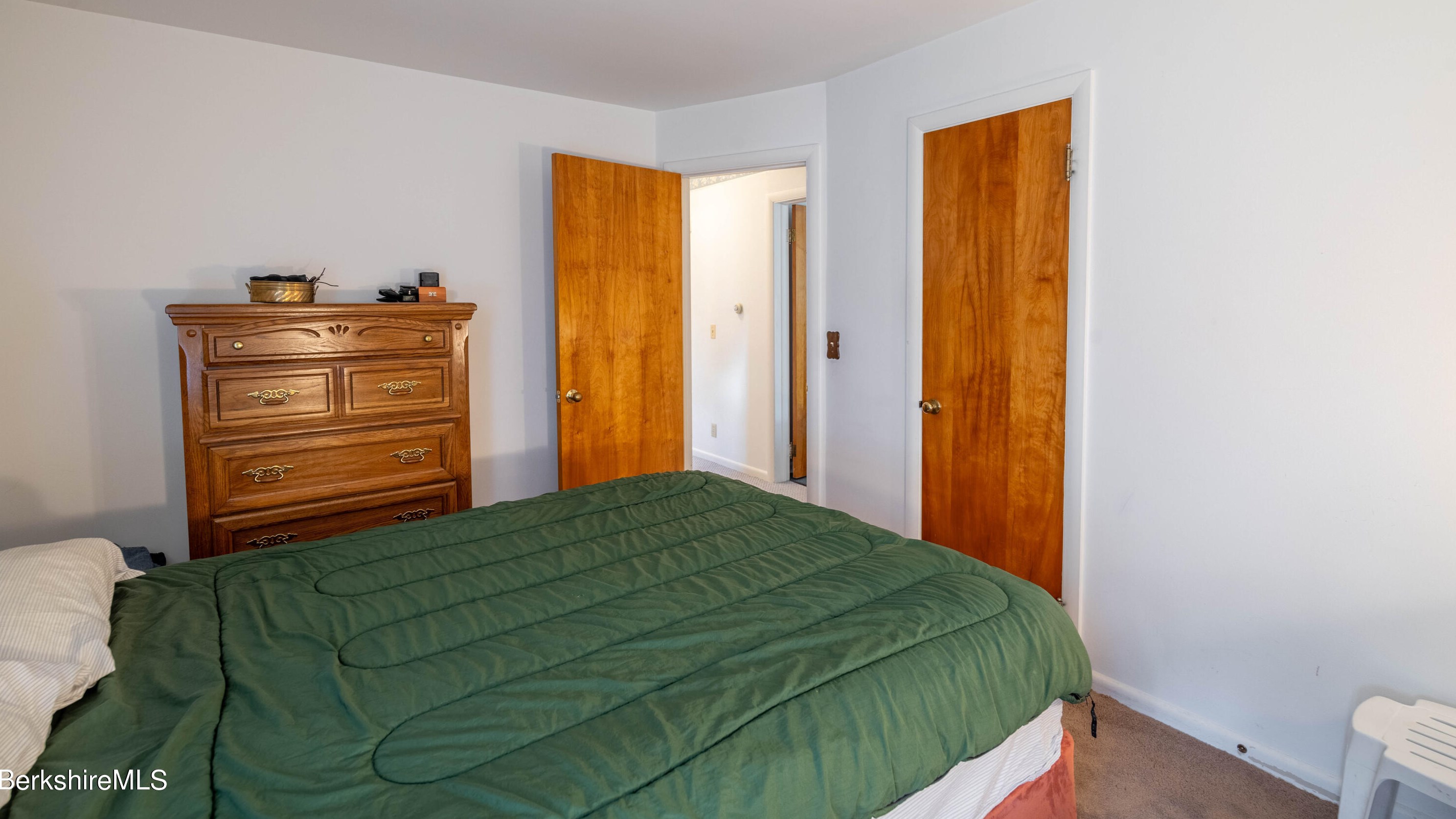 20 Willard Pl, Pittsfield MA 01201-5505 exterior