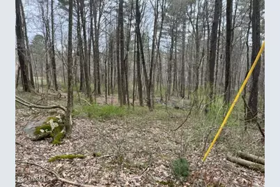 162 Alford Rd, Great Barrington, MA 01230 - Photo 3