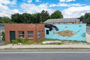 16 Depot St, Great Barrington, MA 01236 - Photo 5