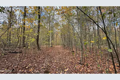 0 Stoney Brook Rd, Becket, MA 01223 - Photo 7