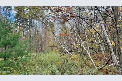 0 Stoney Brook Rd, Becket, MA 01223 - Photo 3
