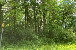 E Windsor Rd, Windsor, MA 01270 - Photo 1