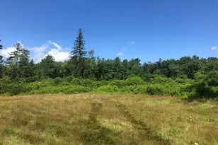 390 Tamaridge Rd, New Marlboro, MA 01259 - Photo 27