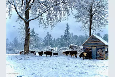 390 Tamaridge Rd, New Marlboro, MA 01259 - Photo 31