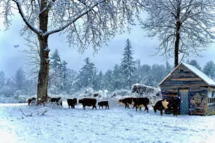 390 Tamaridge Rd, New Marlboro, MA 01259 - Photo 31