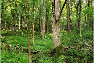 Lot 2 Leland Rd, Becket, MA 01223 - Photo 5