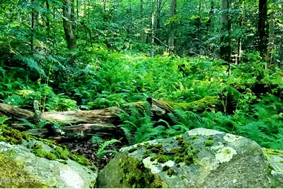 Lot 2 Leland Rd, Becket, MA 01223 - Photo 3