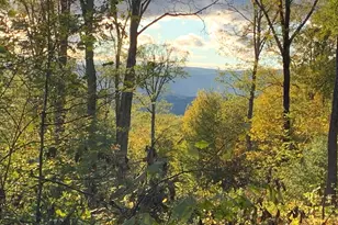 481 Shunpike Rd, Sheffield, MA 01257 - Photo 37