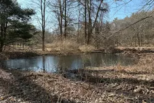 67 Blunt Rd, Egremont, MA 01230 - Photo 7