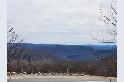 350 Mohawk Trail, Florida, MA 01247 - Photo 3