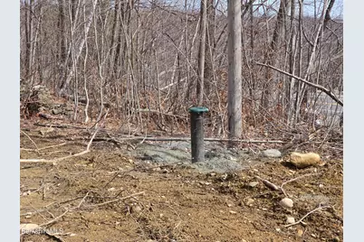 350 Mohawk Trail, Florida, MA 01247 - Photo 5