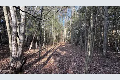 Lot 26 Stony Brook, Becket, MA 01223 - Photo 5
