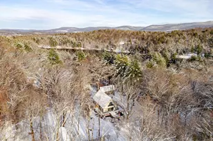 53 Snyder Pond Rd, Copake Falls, NY 12516 - Photo 5