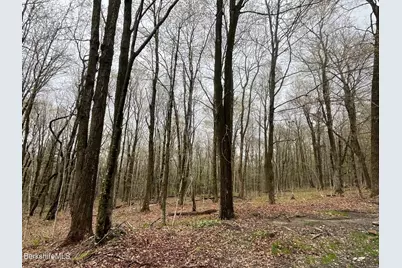 0 Manley Phelps Rd, Monroe, MA 01350 - Photo 1