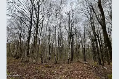 0 Manley Phelps Rd, Monroe, MA 01350 - Photo 5