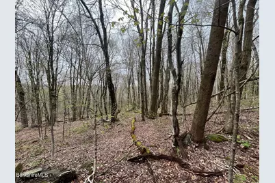 0 Manley Phelps Rd, Monroe, MA 01350 - Photo 7