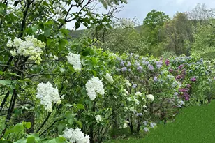 1786 S Undermountain Rd, Sheffield, MA 01257 - Photo 17