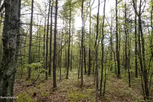 0 Amory Ln, New Marlboro, MA 01259 - Photo 1