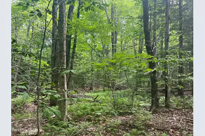 0 Johnny Cake Hill Rd, Middlefield, MA 01243 - Photo 7