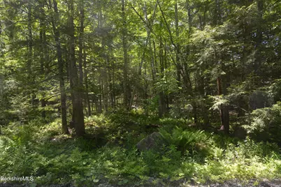 Lot 155 Chippewa Dr, Becket, MA 01223 - Photo 1