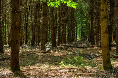 105 Norton Rd, Canaan, NY 12029 - Photo 9