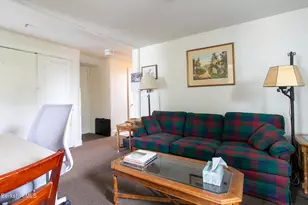 6-10 Manville St, Great Barrington, MA 01230 - Photo 49