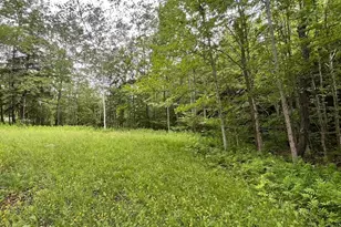 477 Mohawk Trail, Florida, MA 01343 - Photo 7