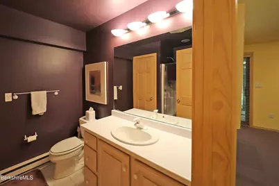 355 Adsit Crosby Rd, New Marlboro, MA 01230 - Photo 49