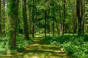 18 Creamery Rd, Egremont, MA 01258 - Photo 27