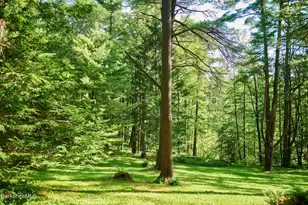 319 Under Mountain Rd, Lenox, MA 01240 - Photo 49