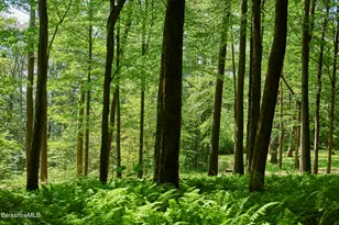 319 Under Mountain Rd, Lenox, MA 01240 - Photo 55