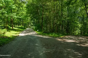 50 Old Village Rd, Alford, MA 01230 - Photo 3